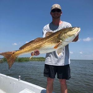 Meet your Posher, Kyle